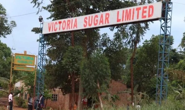 Behind Social Media Propaganda: How Rivals Are Fueling A Smear War On Victoria Sugar Factory