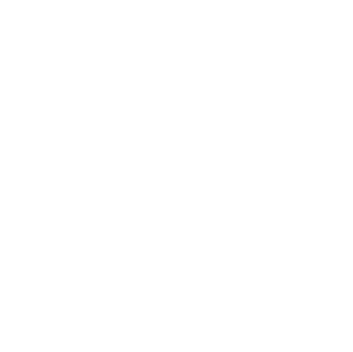 theSwurves Logo Wht Trans