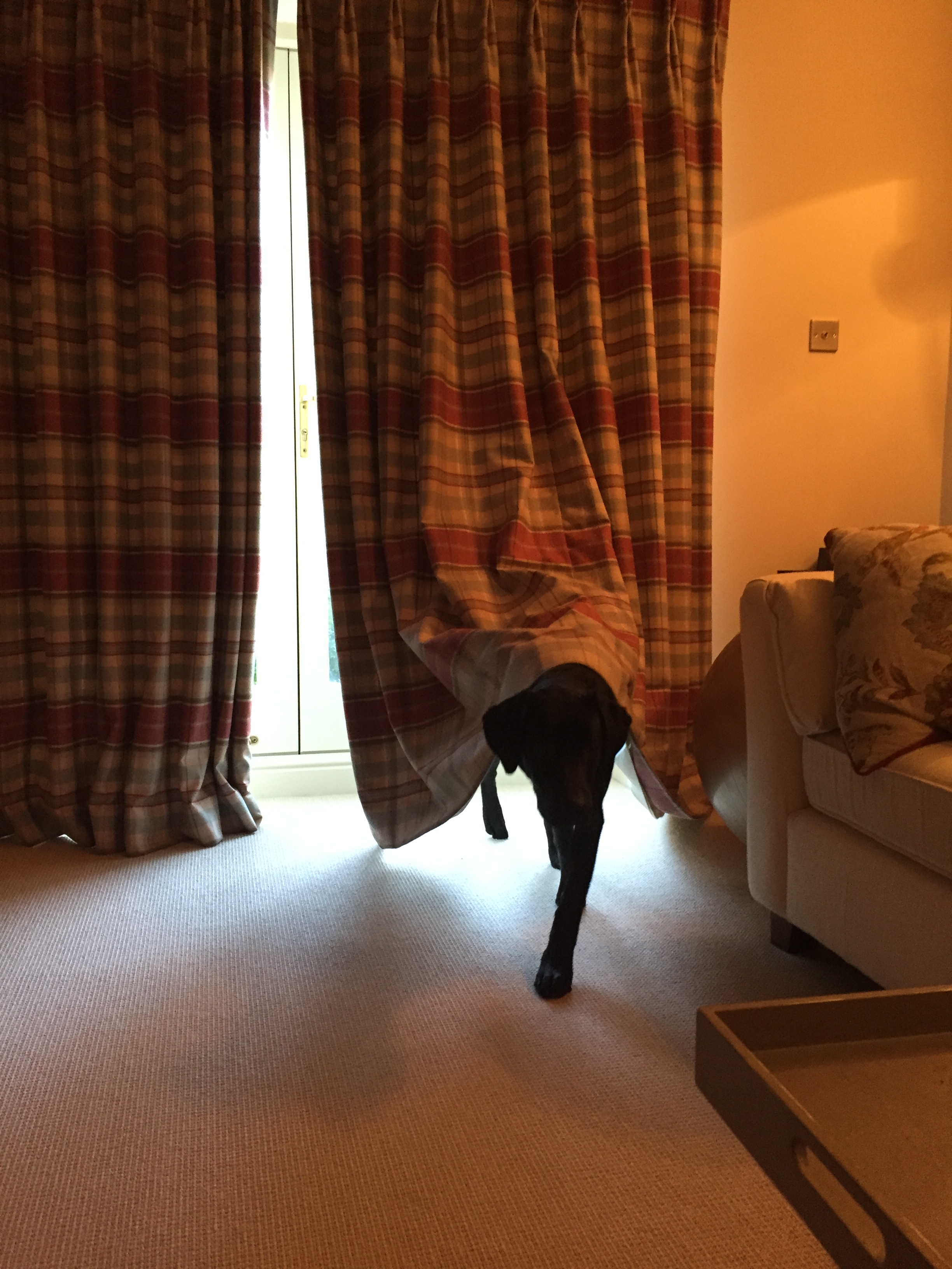 Coming ready or not...