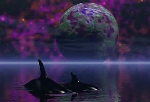 https://i0.wp.com/theteacher.com.au/wp-content/uploads/2009/10/Starseeds-dolphins...jpg
