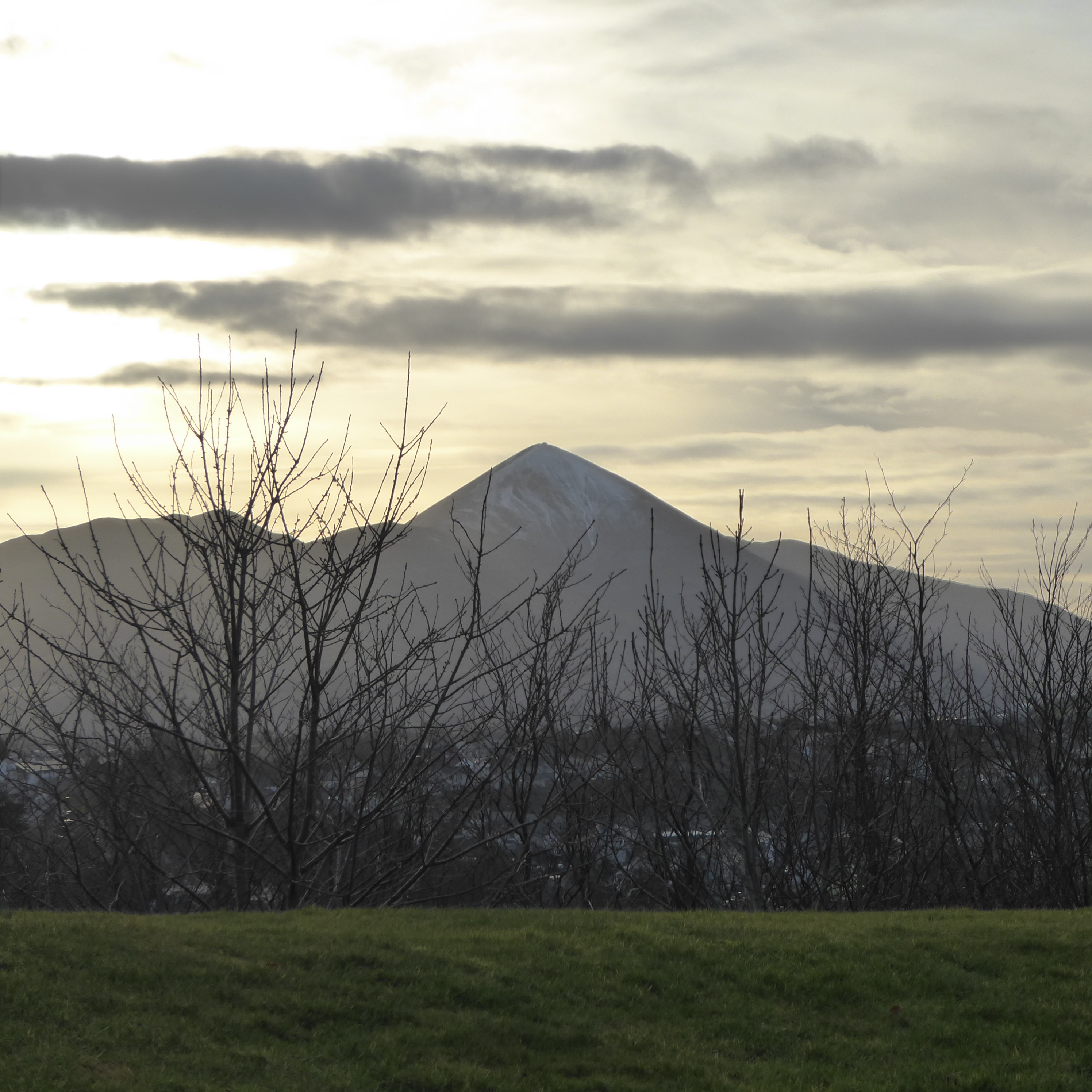 View from the tea table at Knockranny