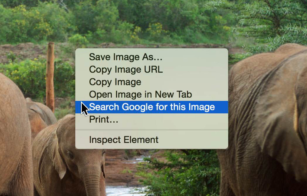 how-to-search-by-image-in-google