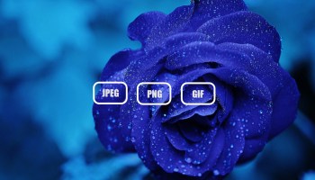 Best Image Formats