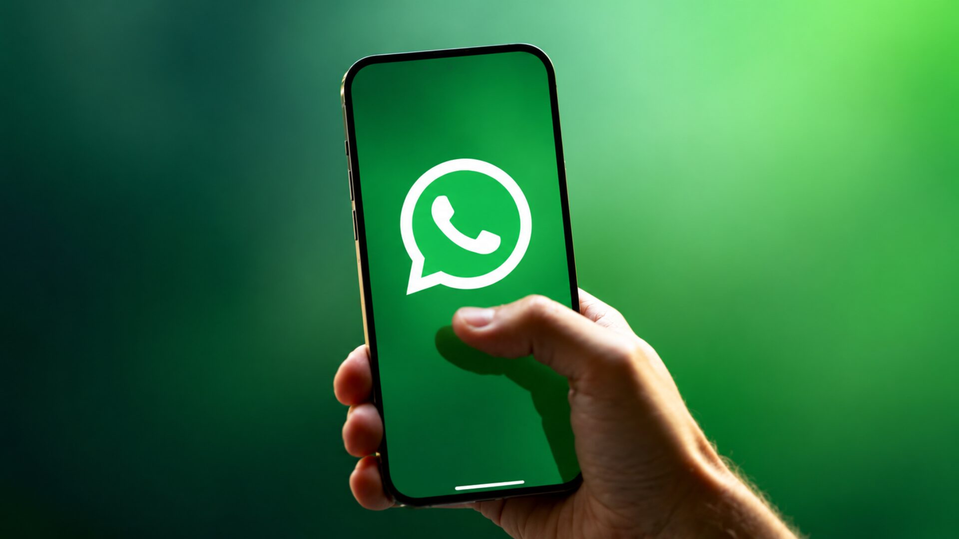 WhatsApp Scam Alert feature screen