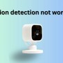 Blink Camera Not Detecting Motion (Complete Guide)