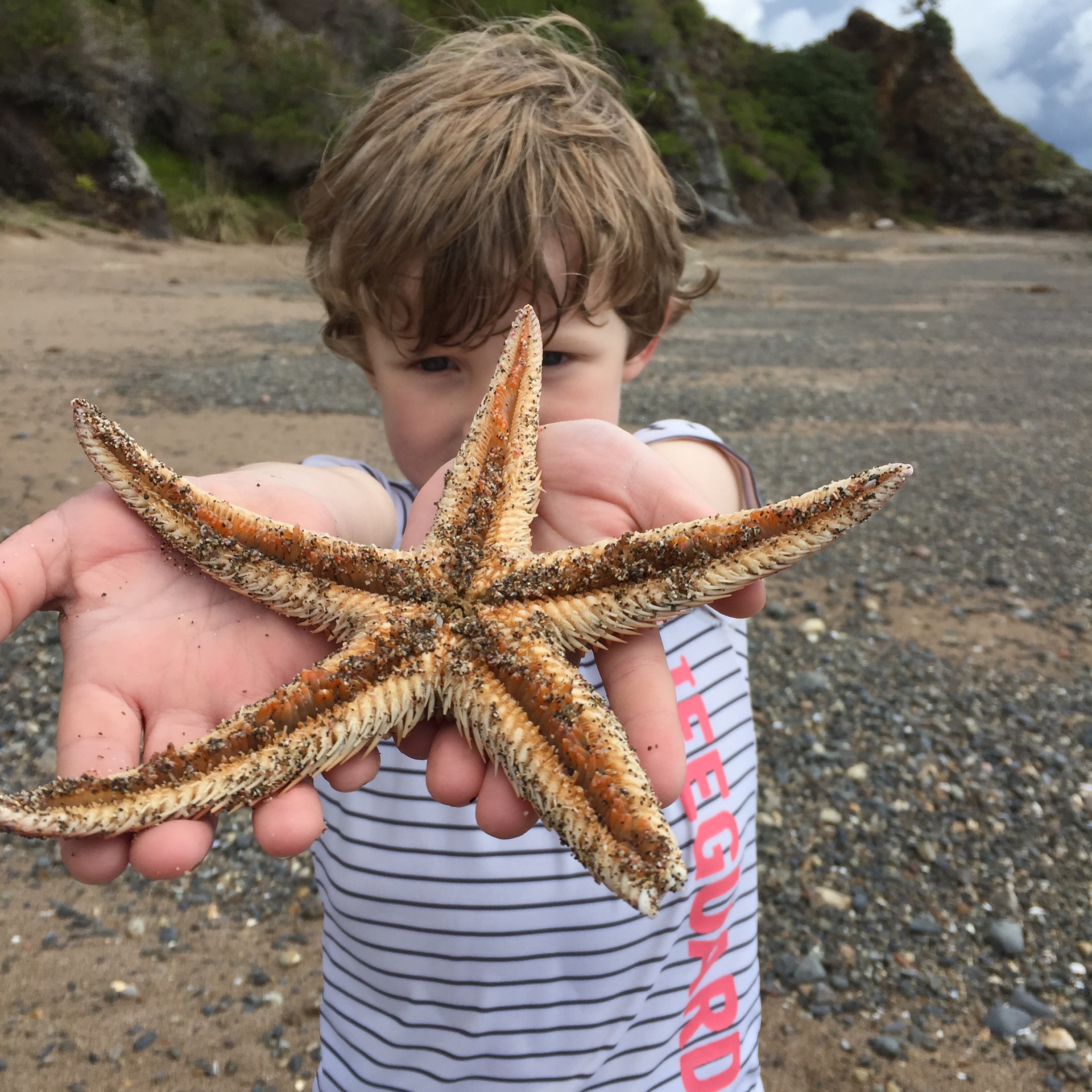 j-with-starfish