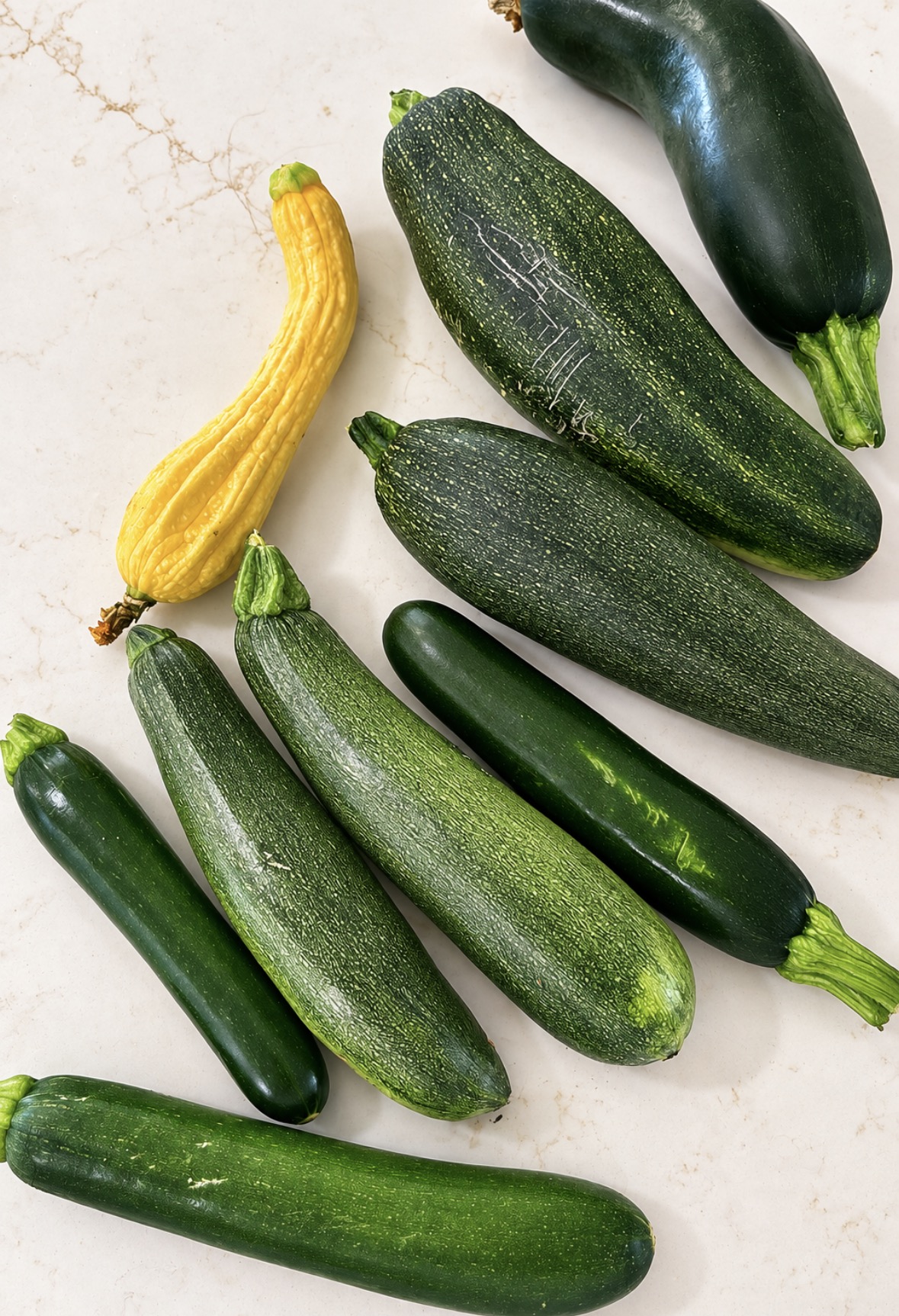 Fresh green zucchini and one yellow summer squash arranged on a light counter