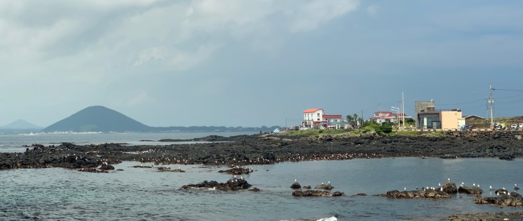 things to do in Korea view of buildings on a peninsula