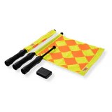 Touchline Electronic Flags
