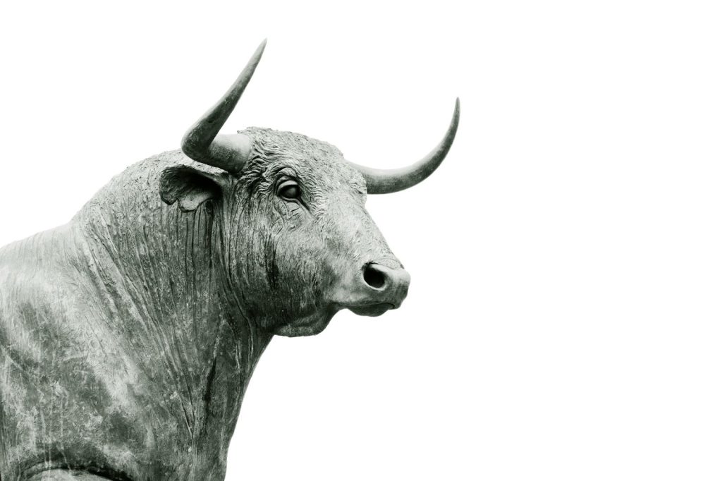 bullish is one of the day trading terms you should know