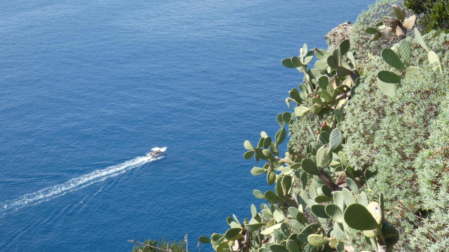 cinque terre views during one day in Cinque Terre