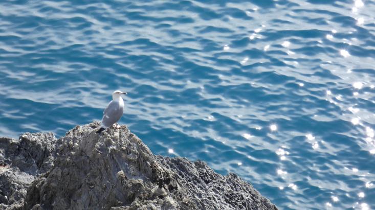 during one day in Cinque Terre