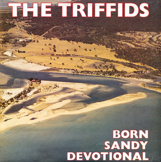 Bilderesultat for born sandy devotional the triffids