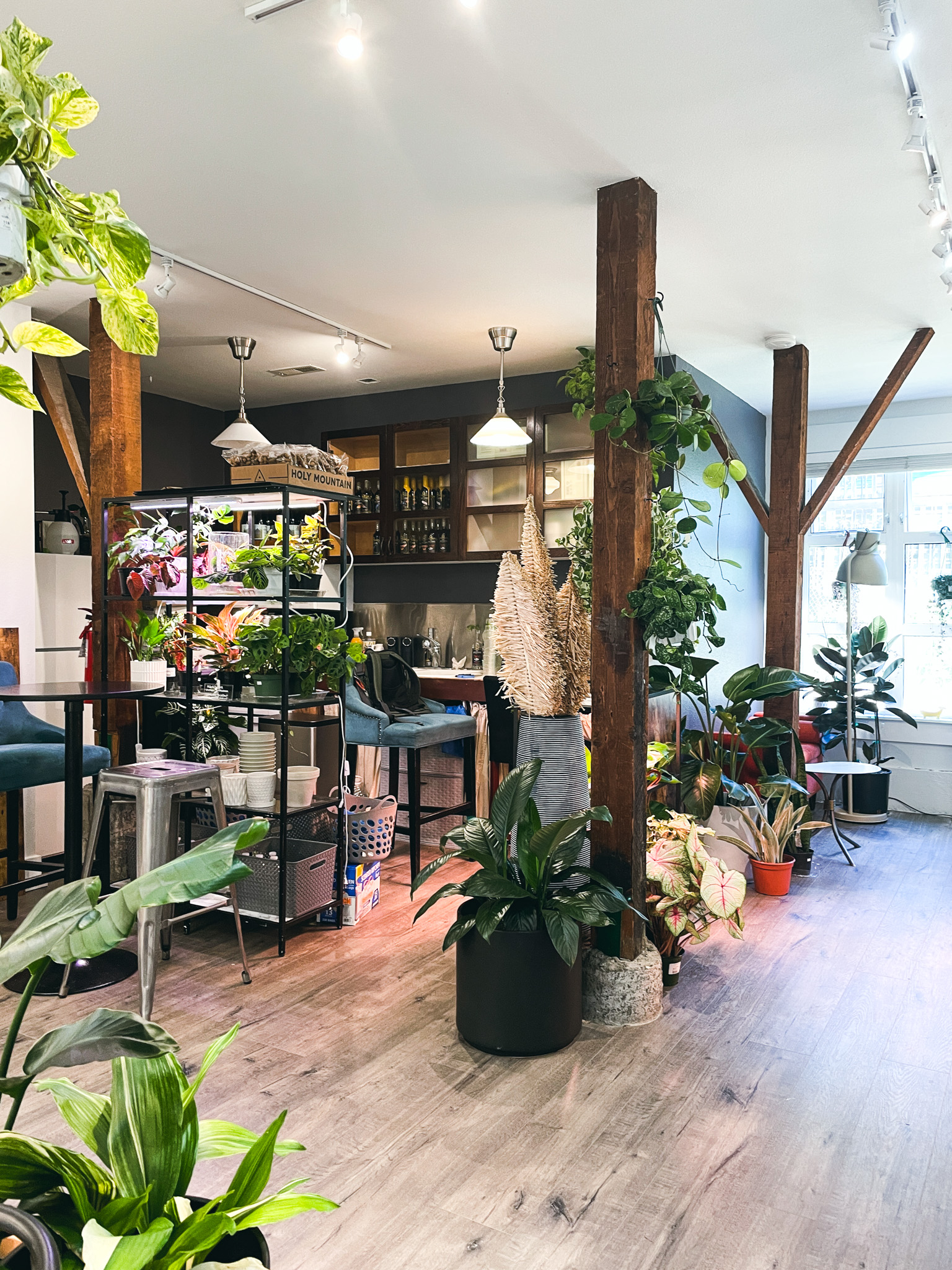 pictures of the interior of the plant shop that serves beer and wine in fremont