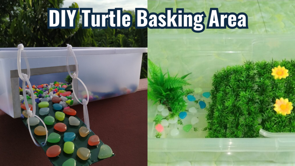 Diy turtle basking area