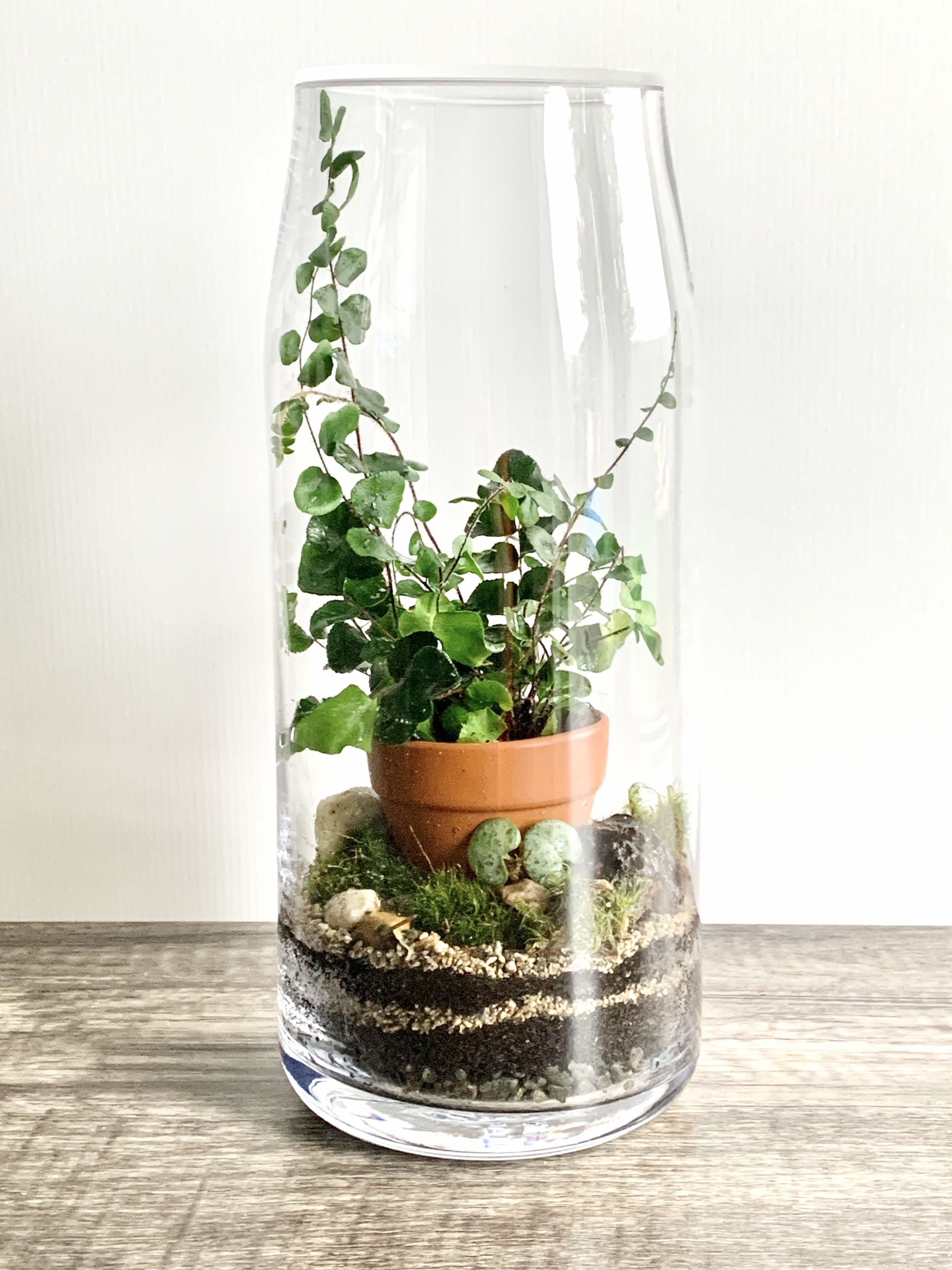 Hearts & Buttons Terrarium The Twig