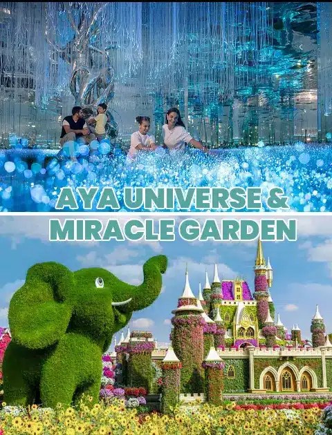 Dubai Miracle Garden Plus Aya Universe Combo