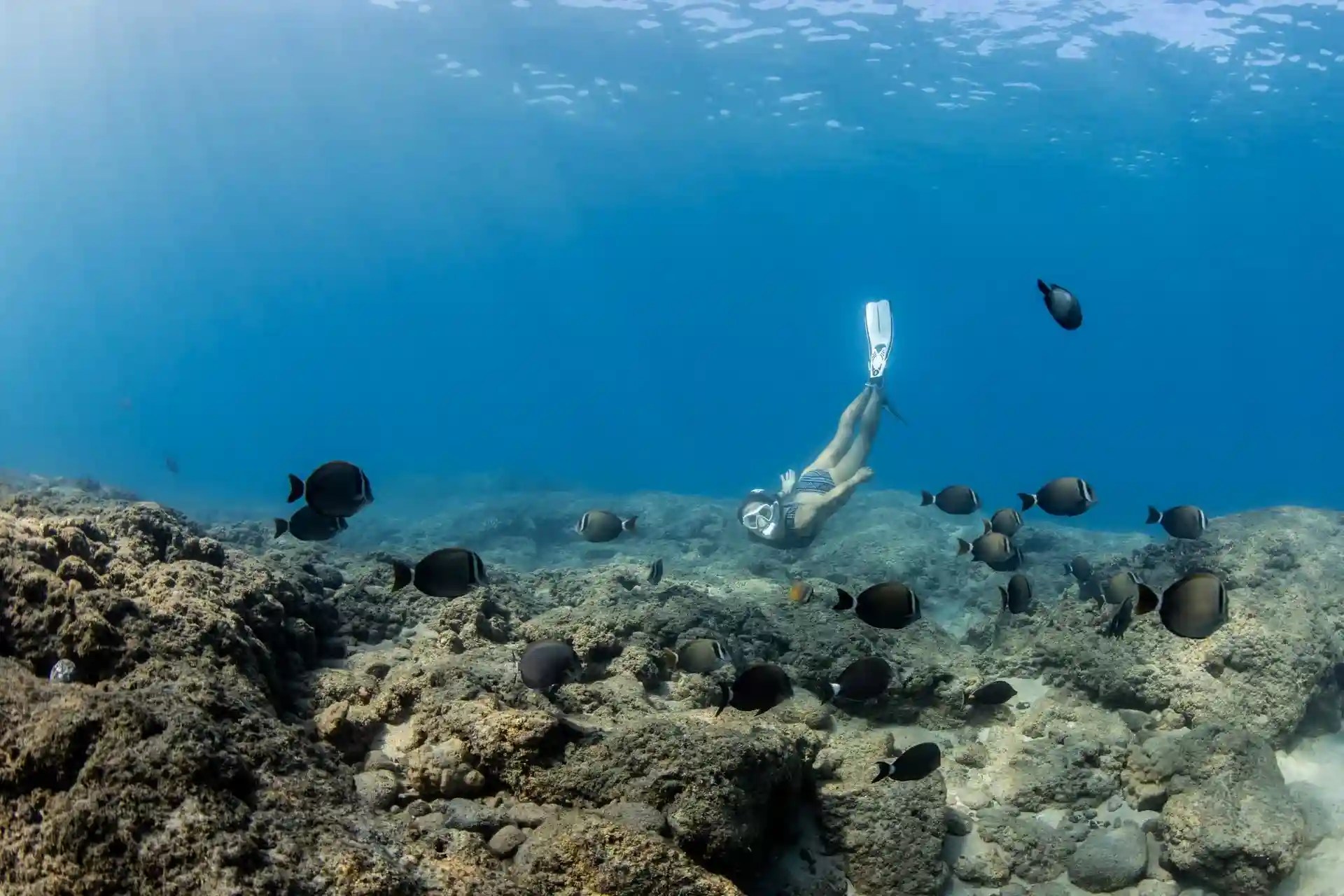 Musandam Ultimate Dibba Adventure