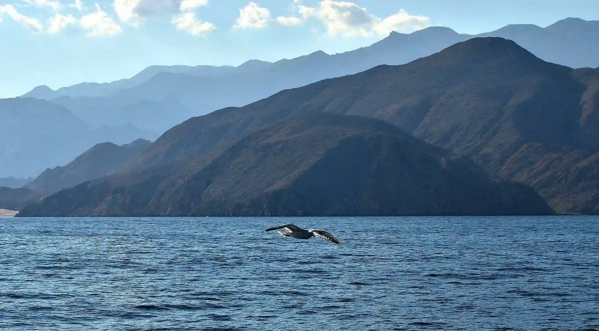 Musandam Ultimate Dibba Adventure
