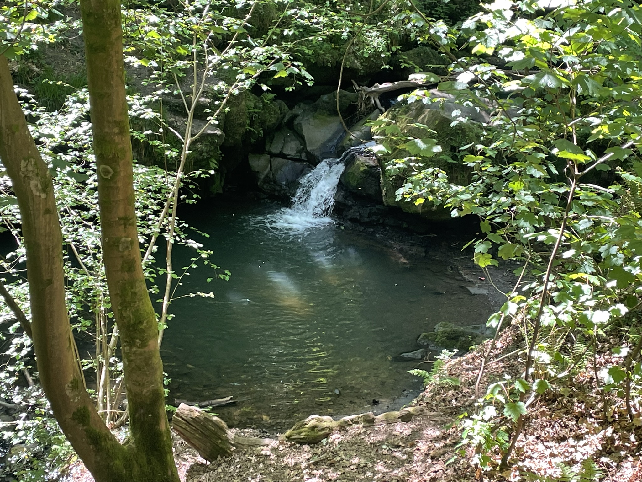 Devil's Basin