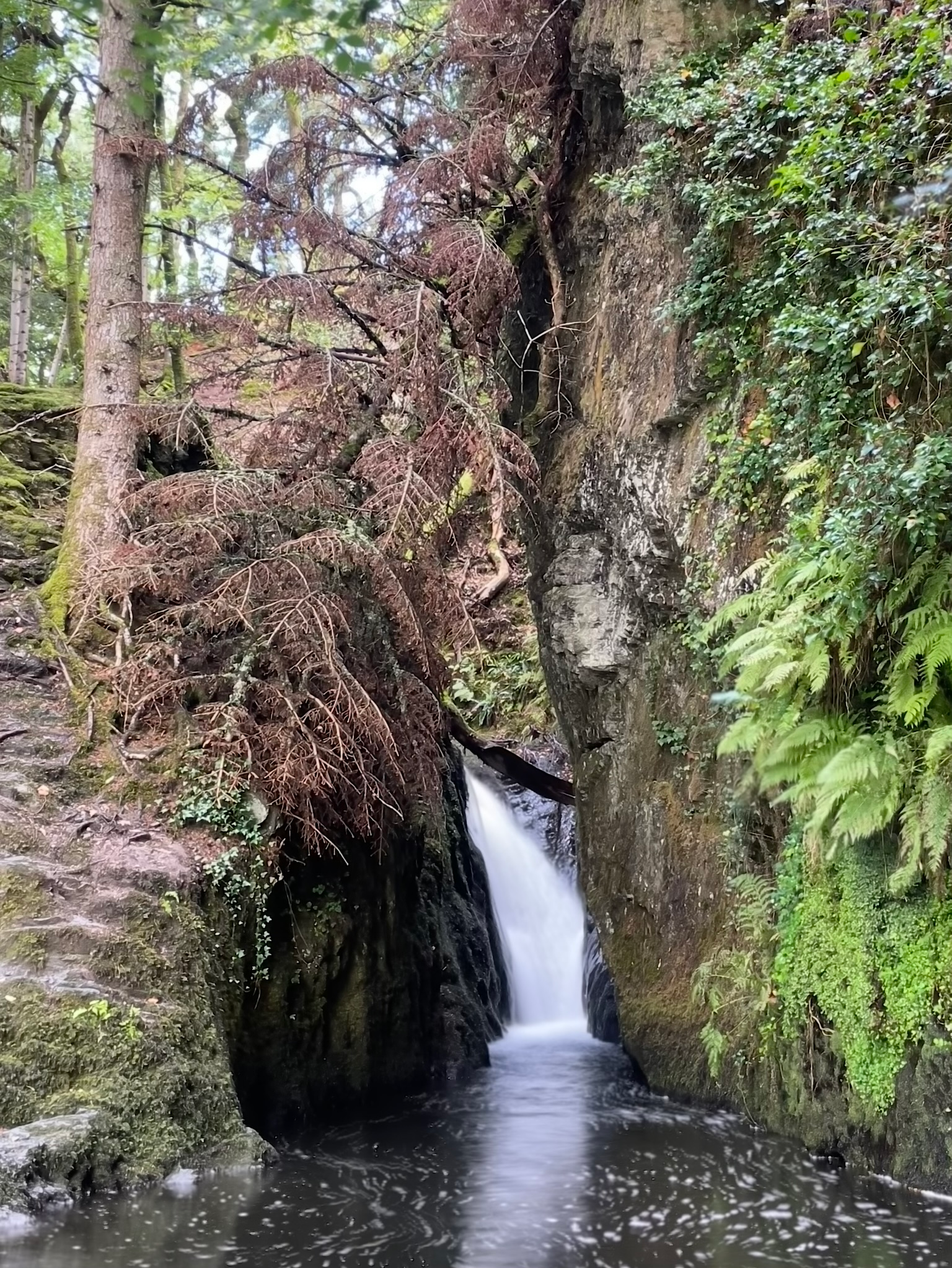 Ffynone Waterfall Walk