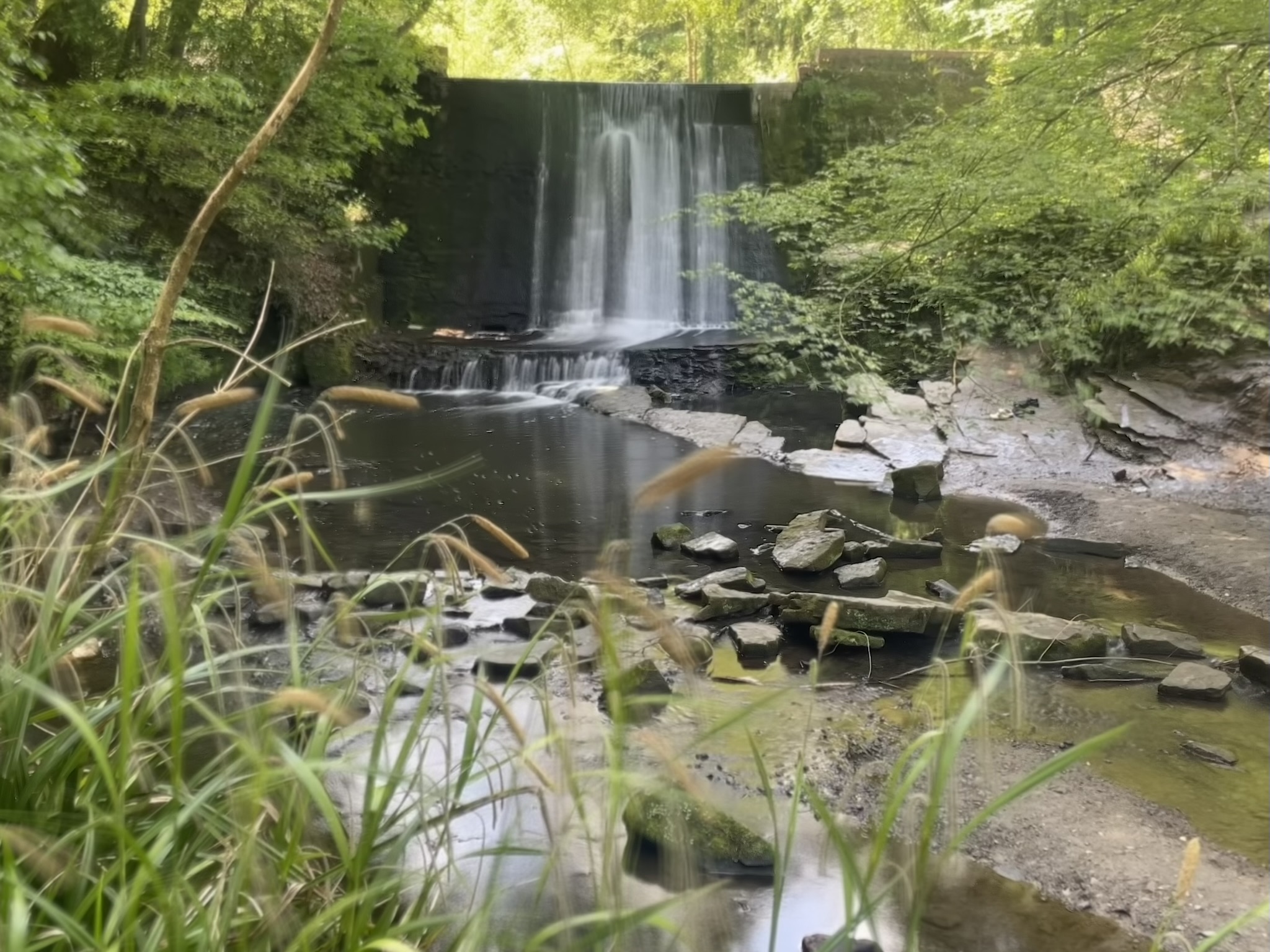 Wepre Park Waterfalls Reviews