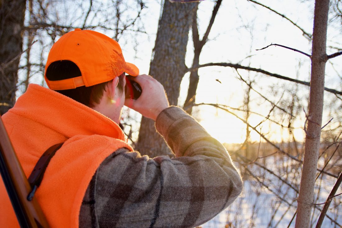 A beginner's guide to spot-and-stalk hunting