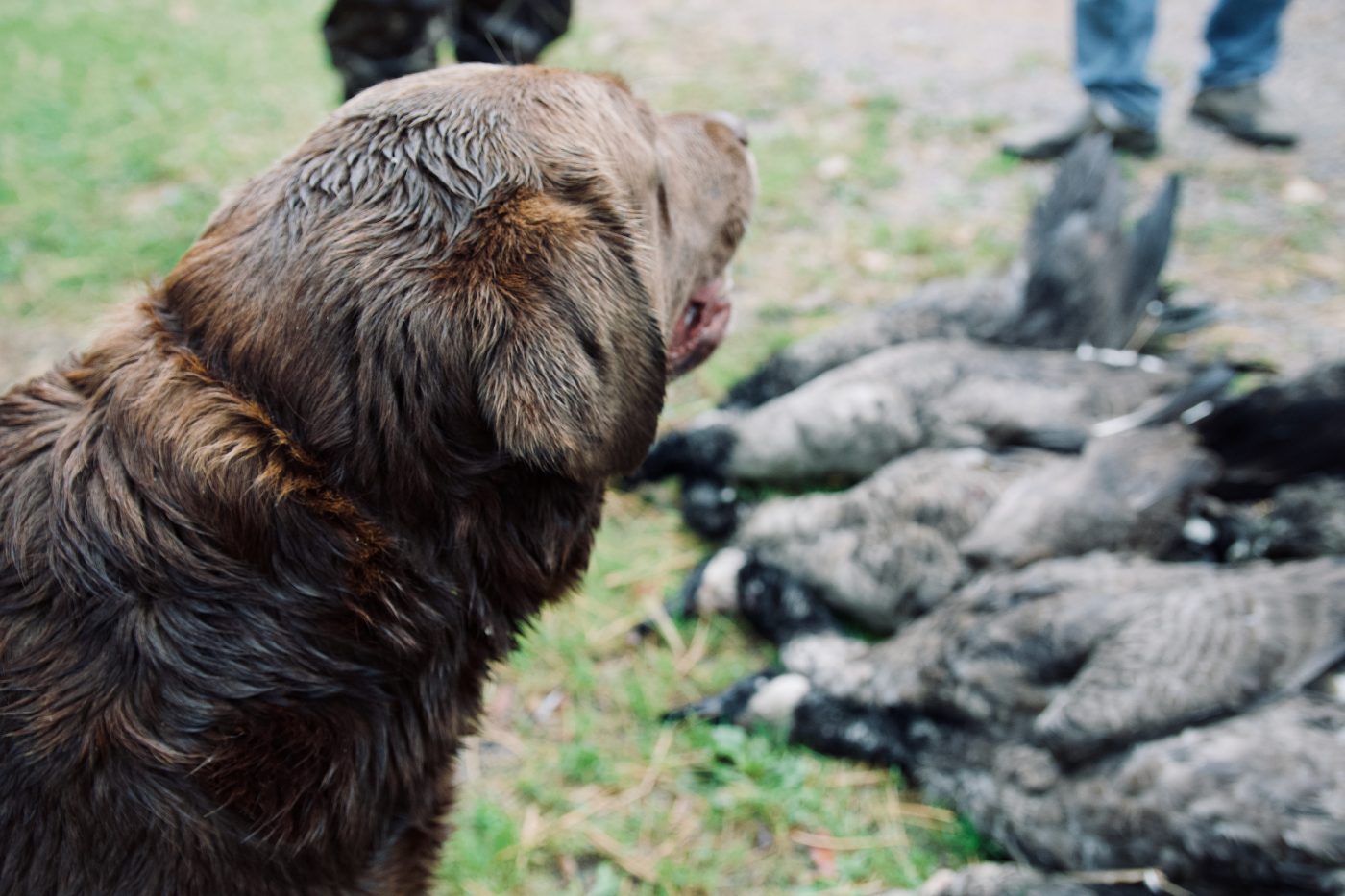Are trophy photos on social media discouraging new hunters?