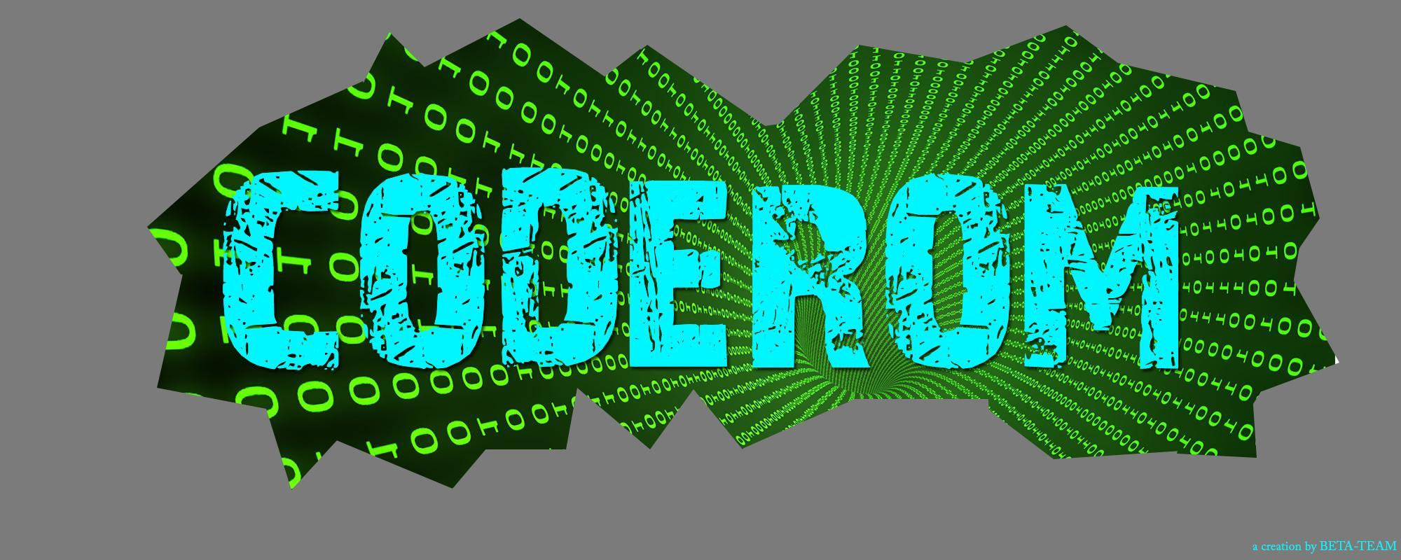 Code ROM