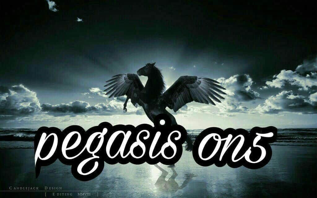 Pegasis