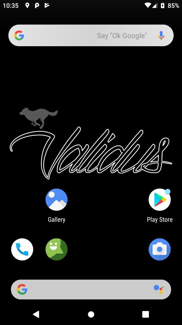 Validus