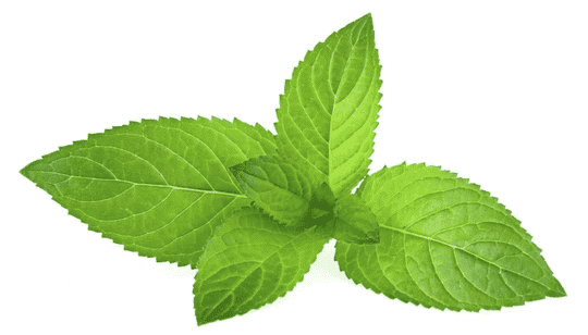 Mint-OS