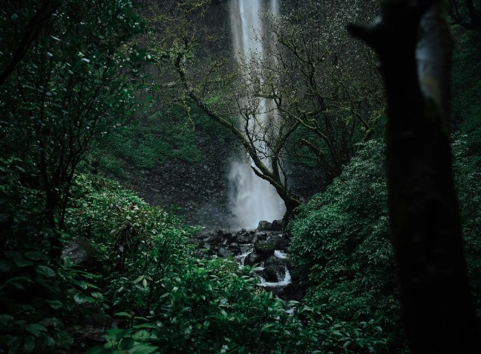Bhandardara Monsoon