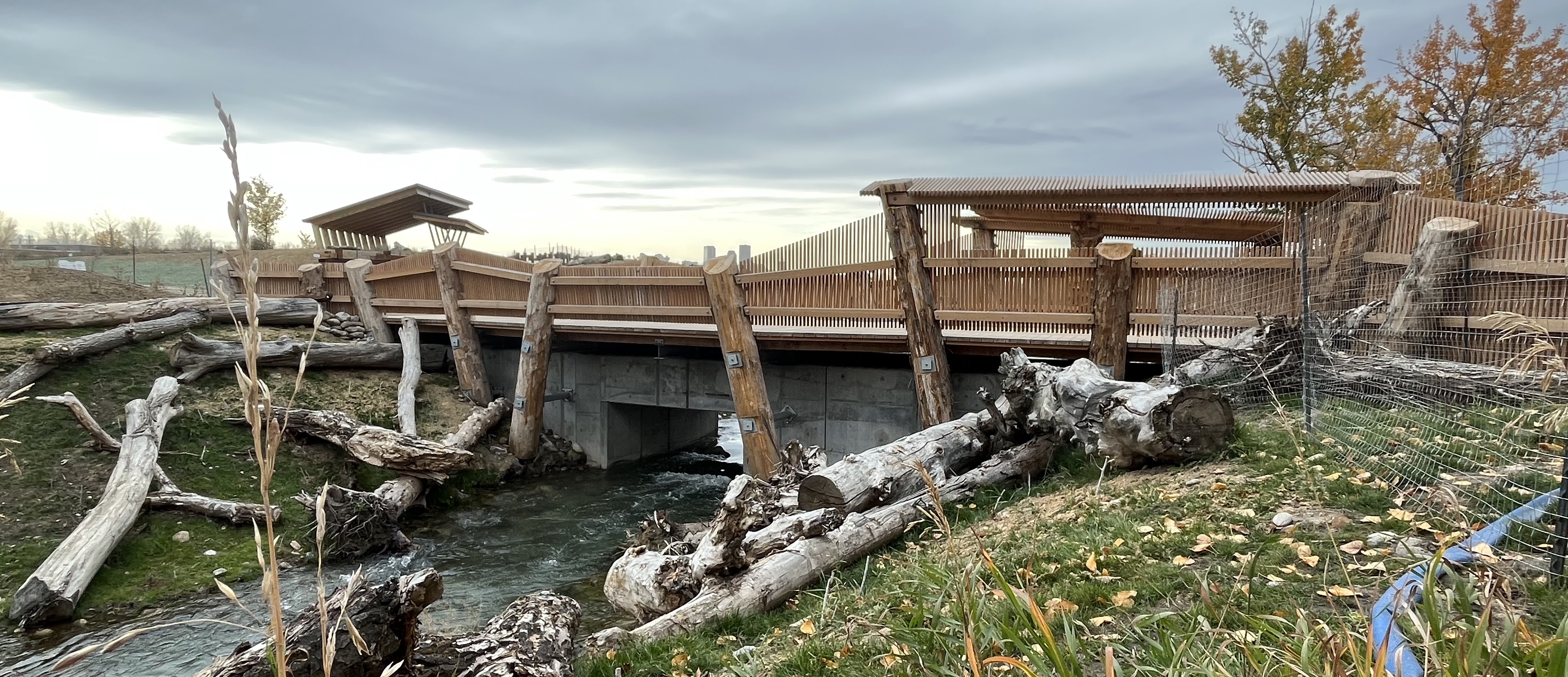 Inglewood Bird Sanctuary, hiking, Calgary, Bend in the Bow,