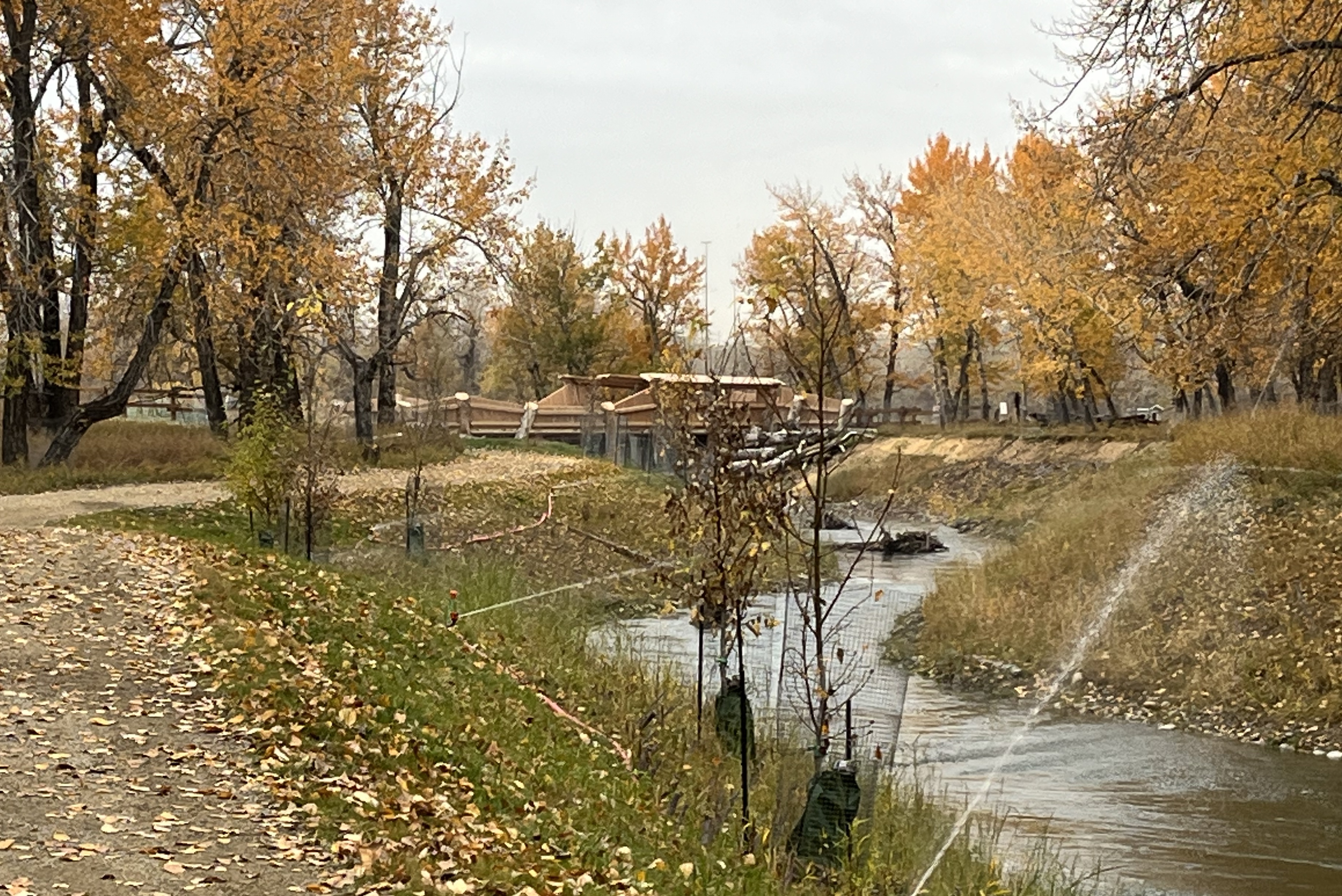 Inglewood, Sanctuary, hiking, Calgary, Bend in the Bow, biking