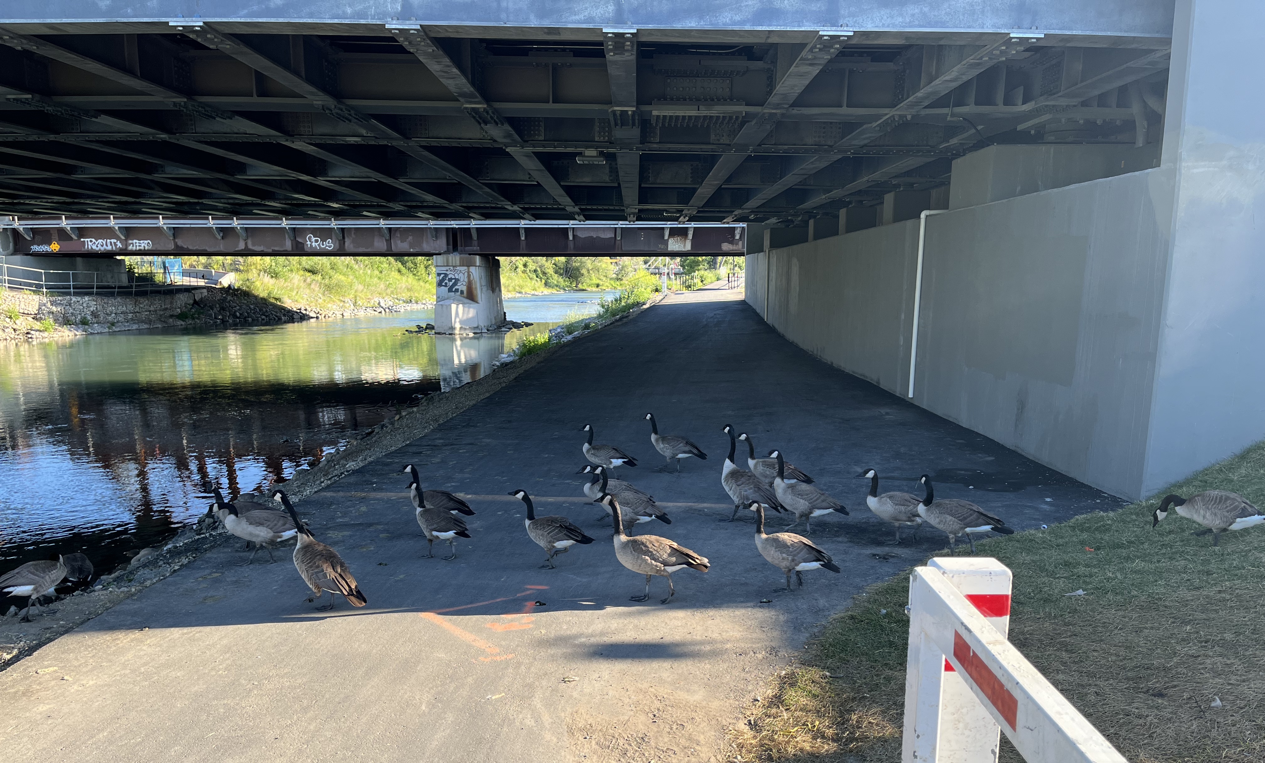 Calgary, urban, guide, tour, Elbow River, west side
