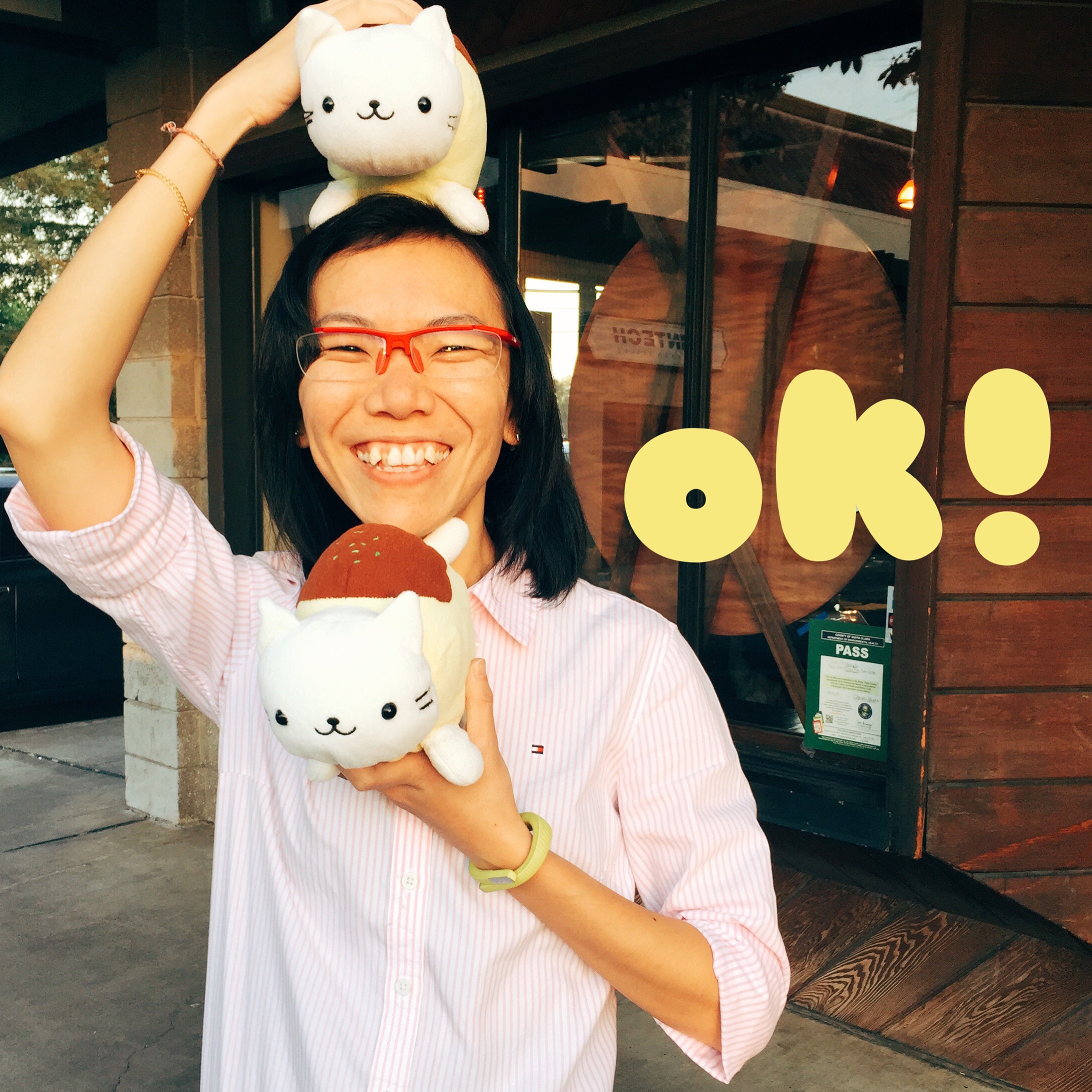 All the way from Singapore is Wei Ling! Here she is posing with Masa's cats. A couple years ago she along with Linda were great host when I visited their motherland. She taught me all the unique characteristics of Singlish. The last message she sent before I took this photo was "ok!" 38/100