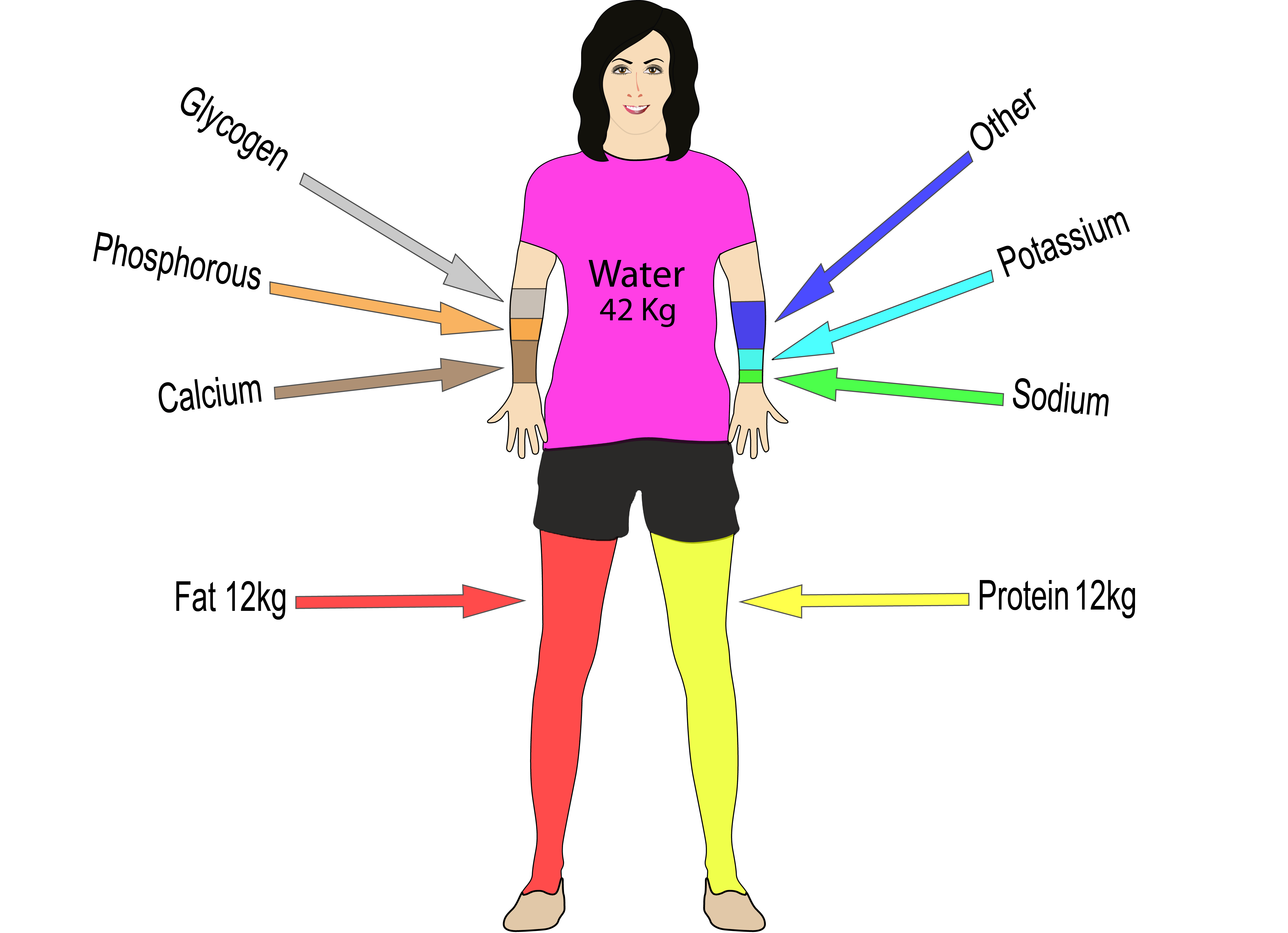 What Is Body Composition? The Versatile Housewives