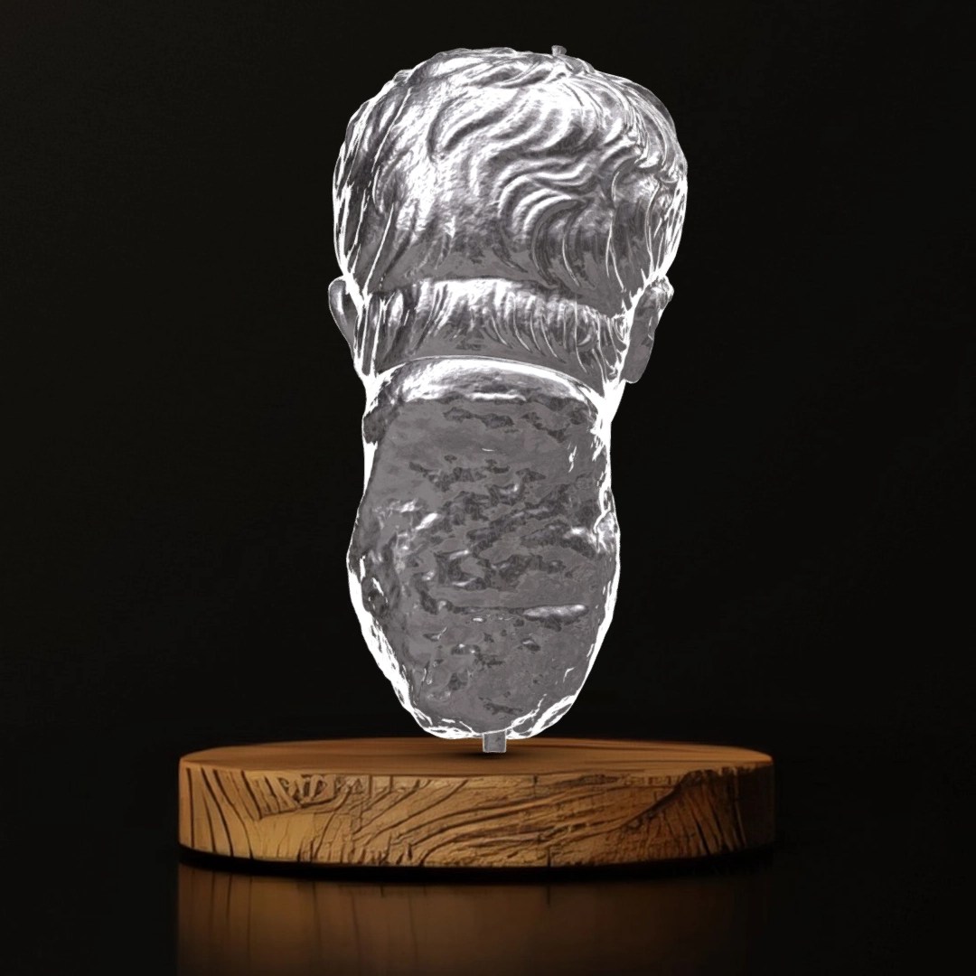 Portrait Head of Emperor Vespasian, Recut from Head of Nero - Museum Replica