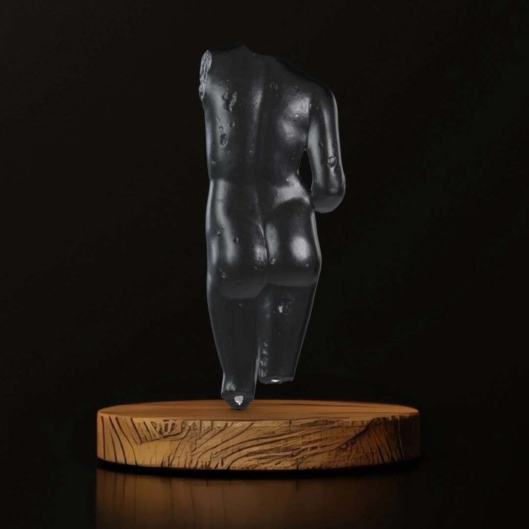 Torso of Venus - Museum Replica