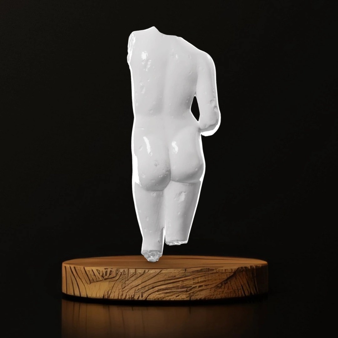 Torso of Venus - Museum Replica