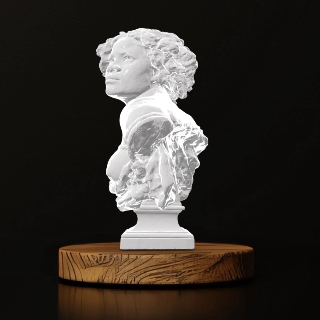 Why Born Enslaved! - Museum Replica