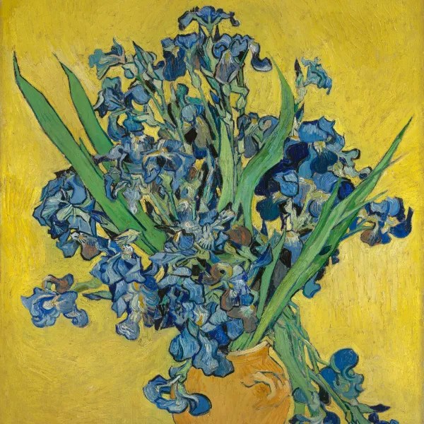 Vincent van Gogh Irises 1890 CE 1