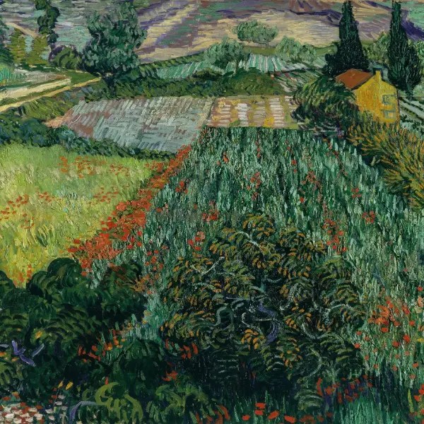 Vincent van Gogh Field with Poppies June 1889 2