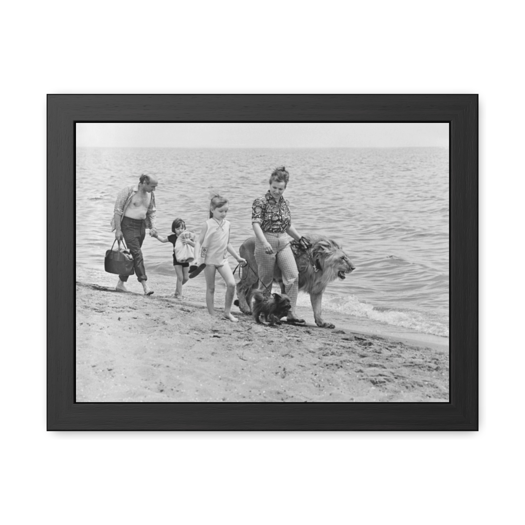 The Family Who Raised Pet Lions (1970s) Framed Poster | Photo Wall Art