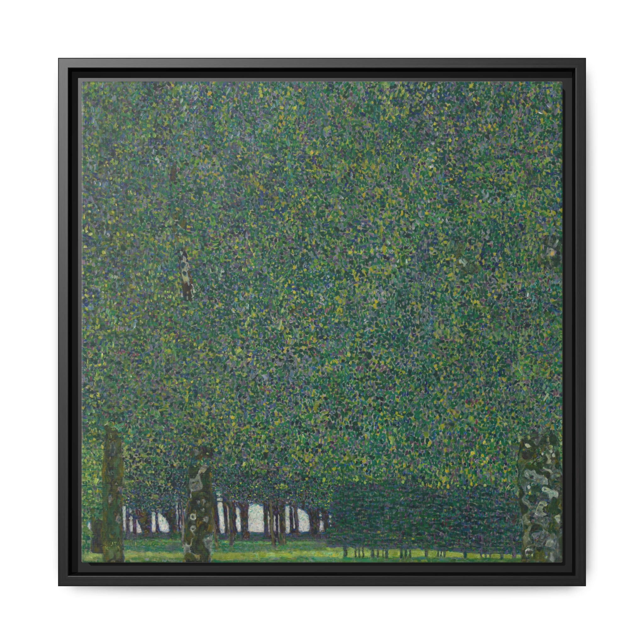 The Park (1909-1910) Framed Canvas | Gustav Klimt Wall Art