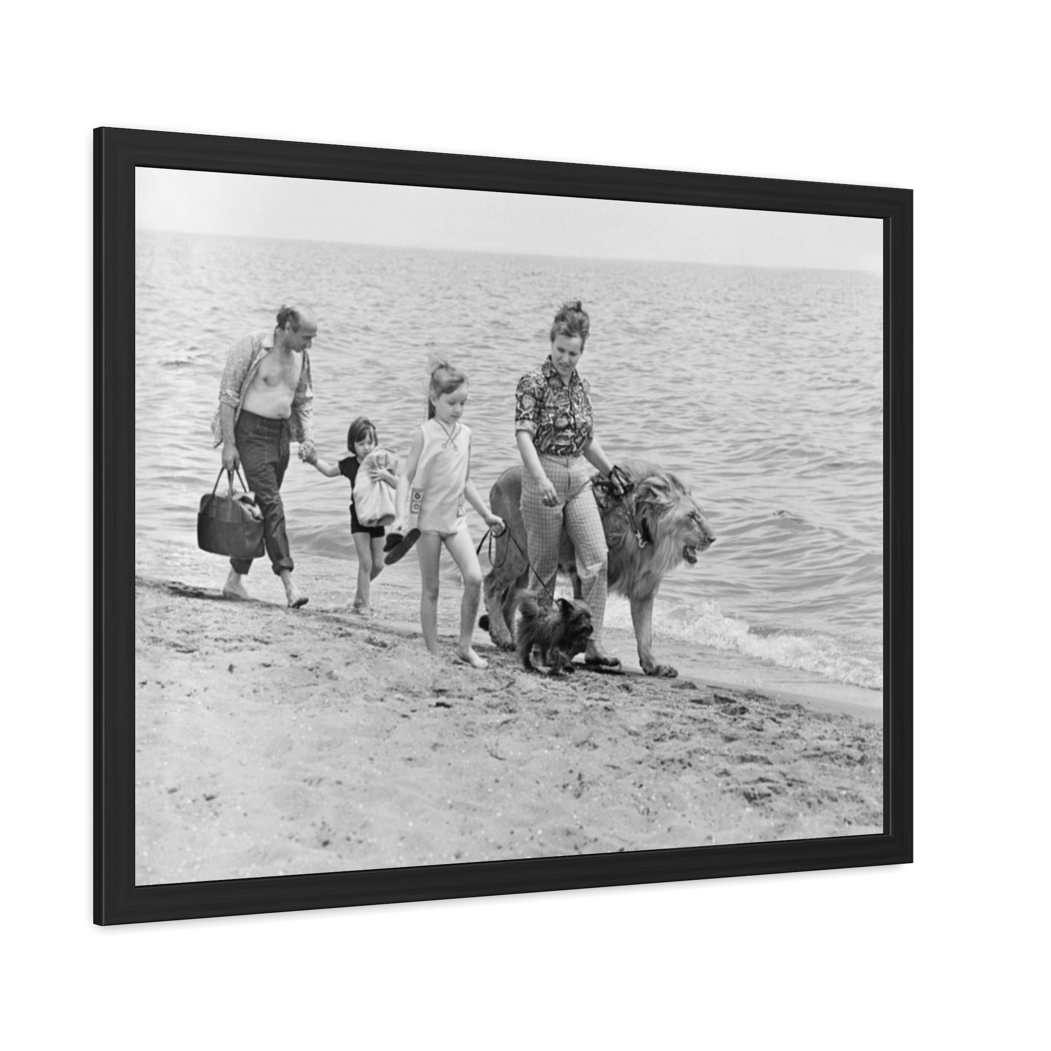 The Family Who Raised Pet Lions (1970s) Framed Poster | Photo Wall Art