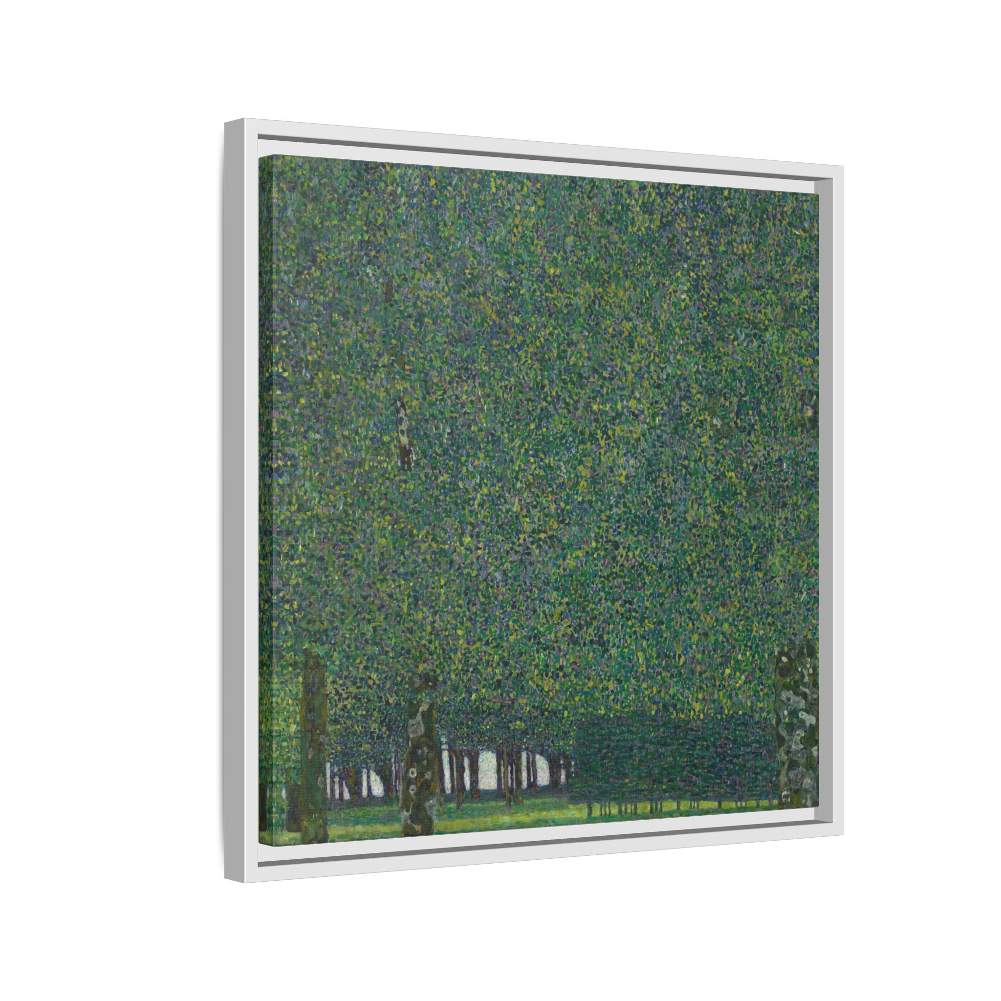 The Park (1909-1910) Framed Canvas | Gustav Klimt Wall Art