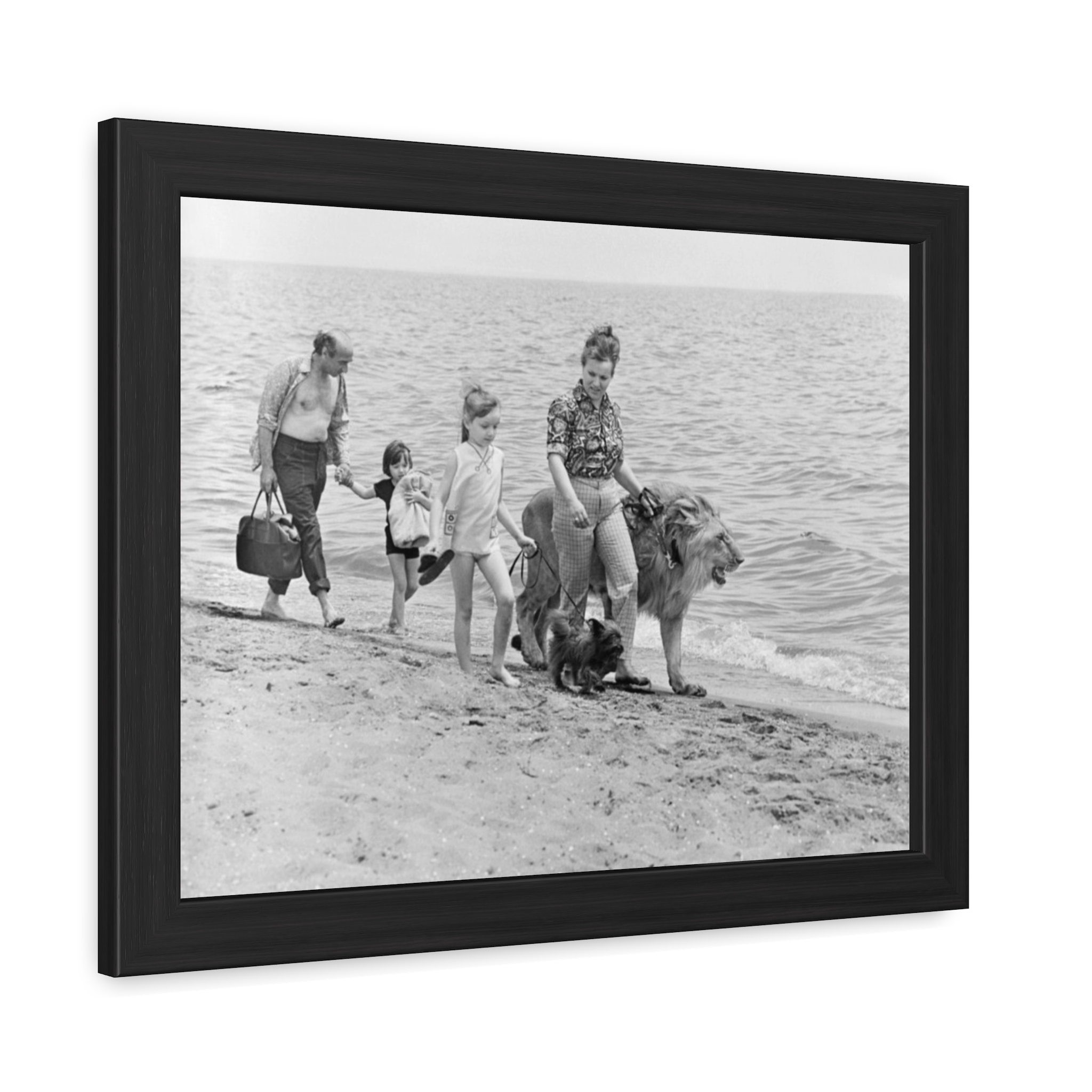 The Family Who Raised Pet Lions (1970s) Framed Poster | Photo Wall Art
