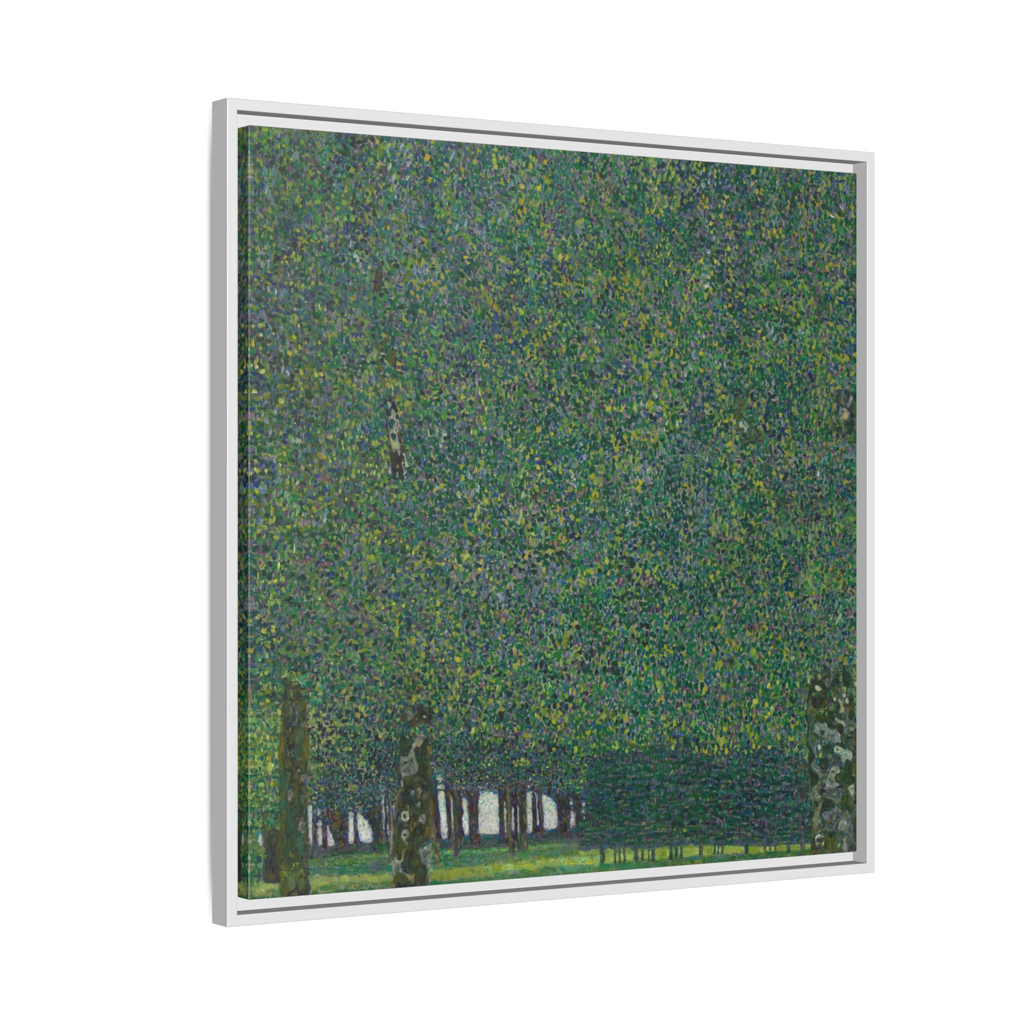 The Park (1909-1910) Framed Canvas | Gustav Klimt Wall Art